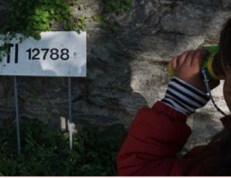 A caccia di numeri e lettere