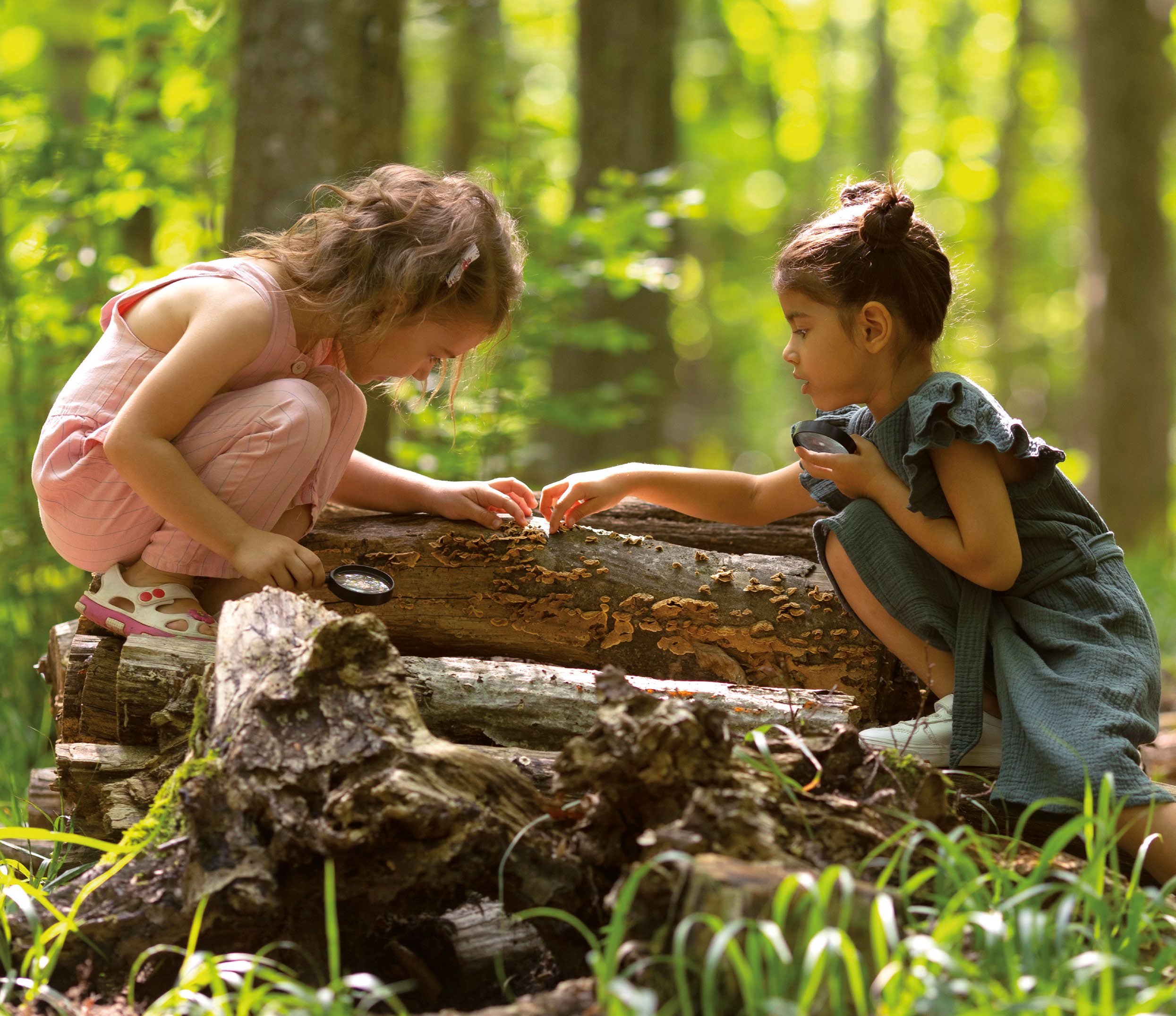 Matematica in natura