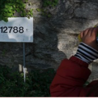 A caccia di numeri e lettere