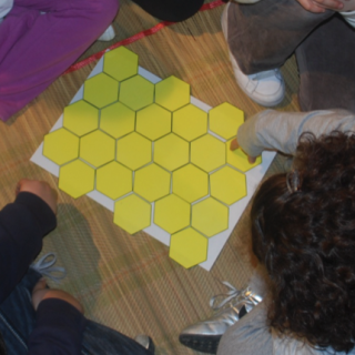 La geometria delle api