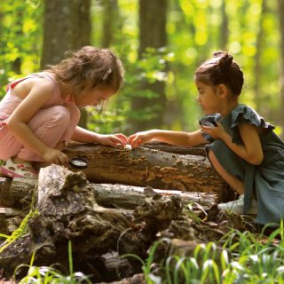 Quaderno_didattico_Matematica-in-natura