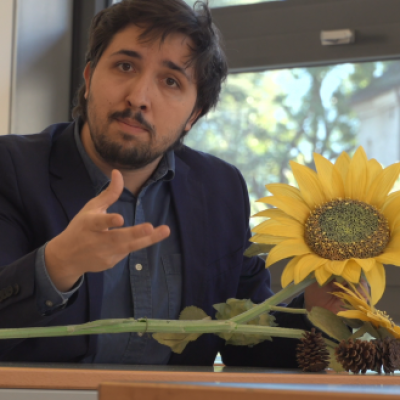 video_copertina_fibonacci